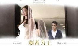 剩者为王在线观看,职场生存法则与逆袭之路