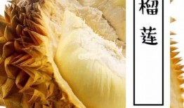 榴莲月饼爆料方法窍门视频,揭秘制作窍门与视频教程