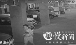 蒋先生爆料成都事件视频,揭秘背后惊人真相